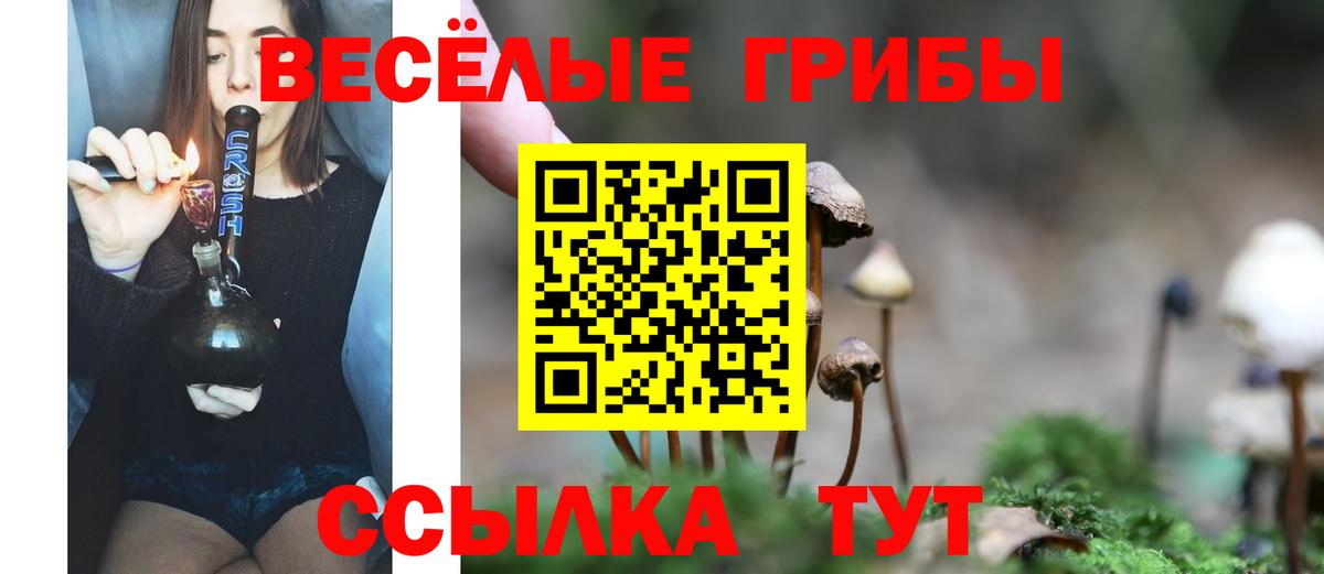 Псилоцибиновые грибы Psilocybe  Вход с VPN  Галлюциногенные грибы прущие грибы  Советская Гавань 